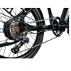 Skládací elektrokolo LEADER FOX TIFTON 20" black shiny